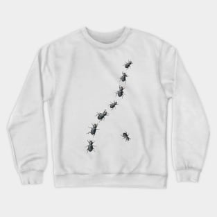 Creepy Crawly Black Beetles Crewneck Sweatshirt